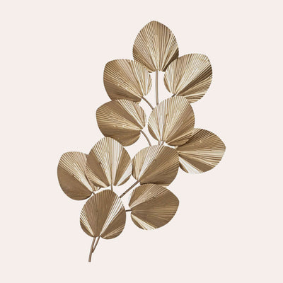 Hojas de eucalipto sobre fondo blanco.