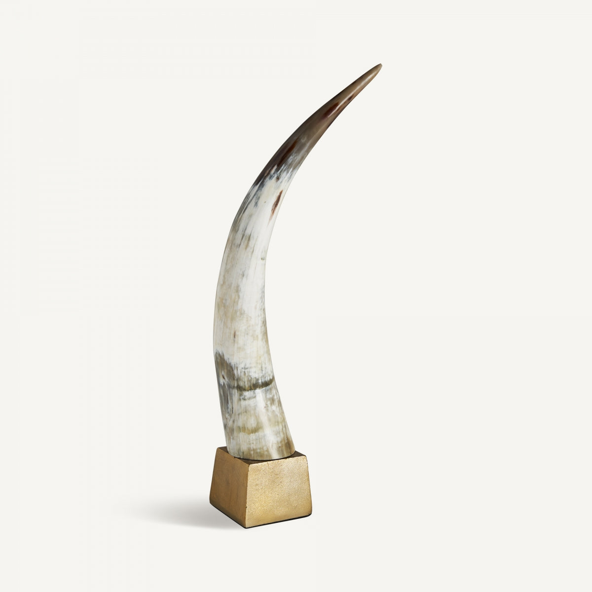 Una elegante figura decorativa Zonza de resina negra y aluminio, con cuerno curvado sobre base cuadrada dorada, es ideal para dar un toque cómodo y nórdico a tu espacio. Se muestra sobre fondo blanco liso.