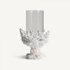 El Portavelas en resina blanca Arrecife G presenta un jarrón de vidrio transparente sobre una base texturizada en forma de coral blanco, que irradia una decoración elegante con estilo nórdico sobre un fondo blanco prístino.
